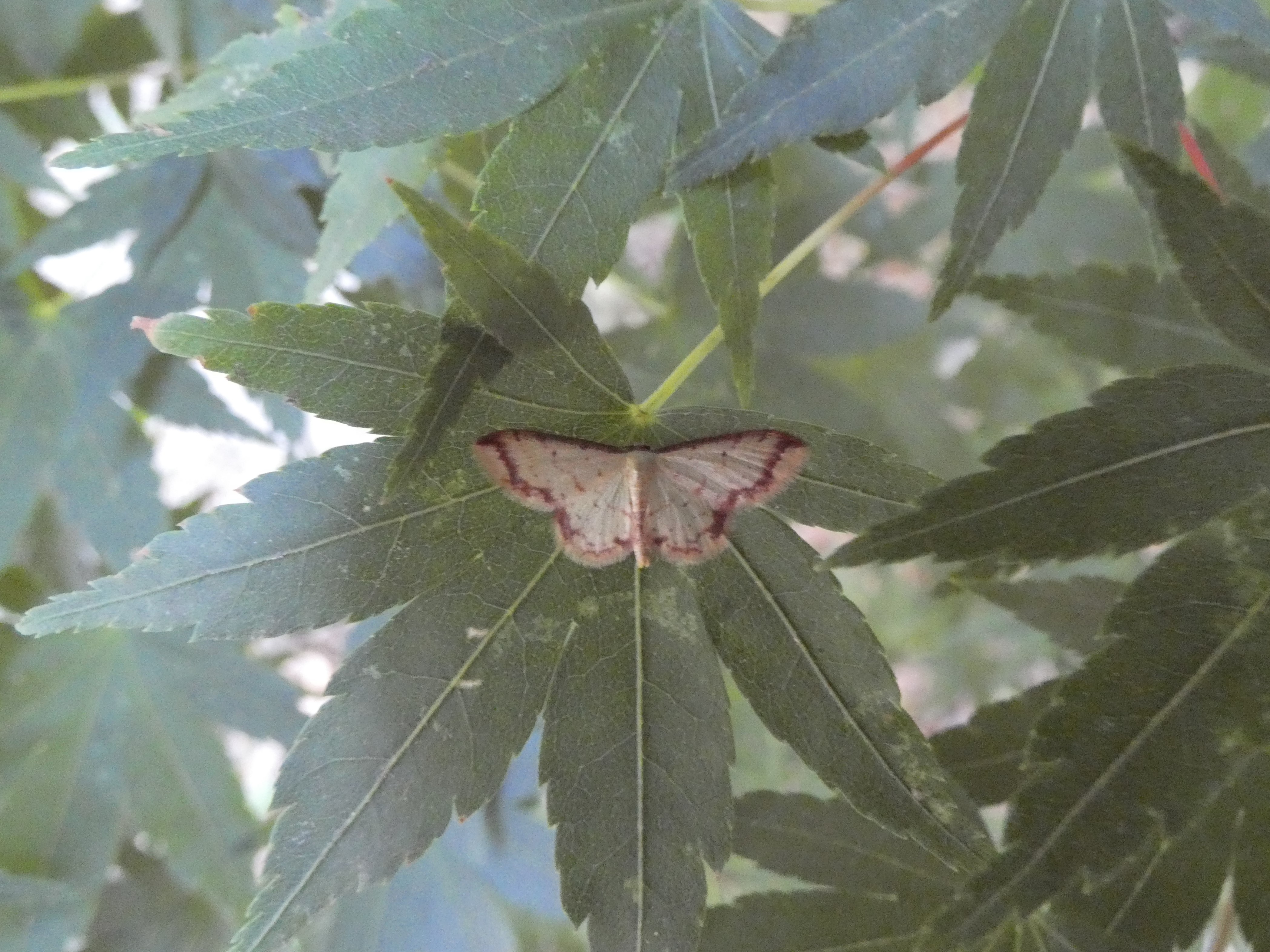 photo_1